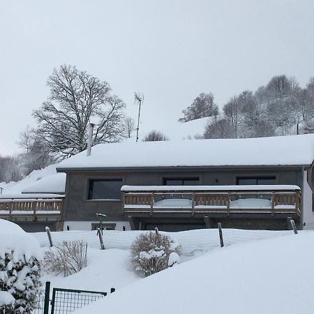 Chalet Bel Horizon La Montagne Des Lamas La Bresse Ngoại thất bức ảnh