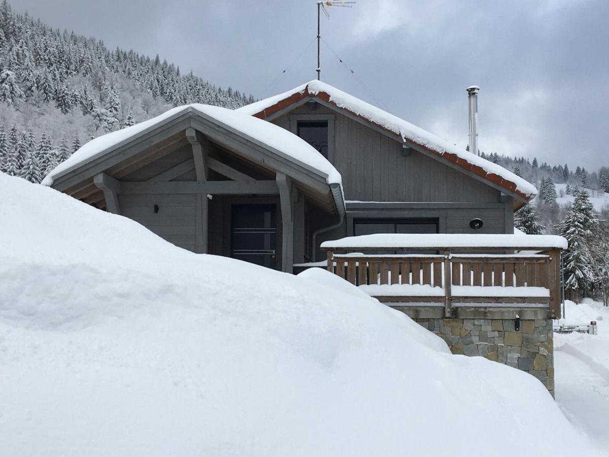Chalet Bel Horizon La Montagne Des Lamas La Bresse Ngoại thất bức ảnh