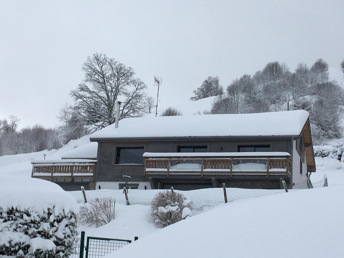 Chalet Bel Horizon La Montagne Des Lamas La Bresse Ngoại thất bức ảnh