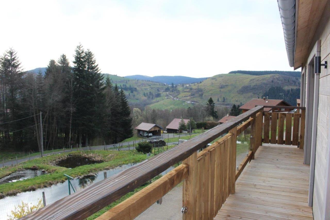 Chalet Bel Horizon La Montagne Des Lamas La Bresse Ngoại thất bức ảnh